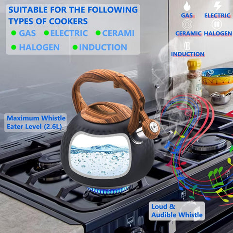 Foedo Tea Kettle stainless steel heats water quickly on different stoves