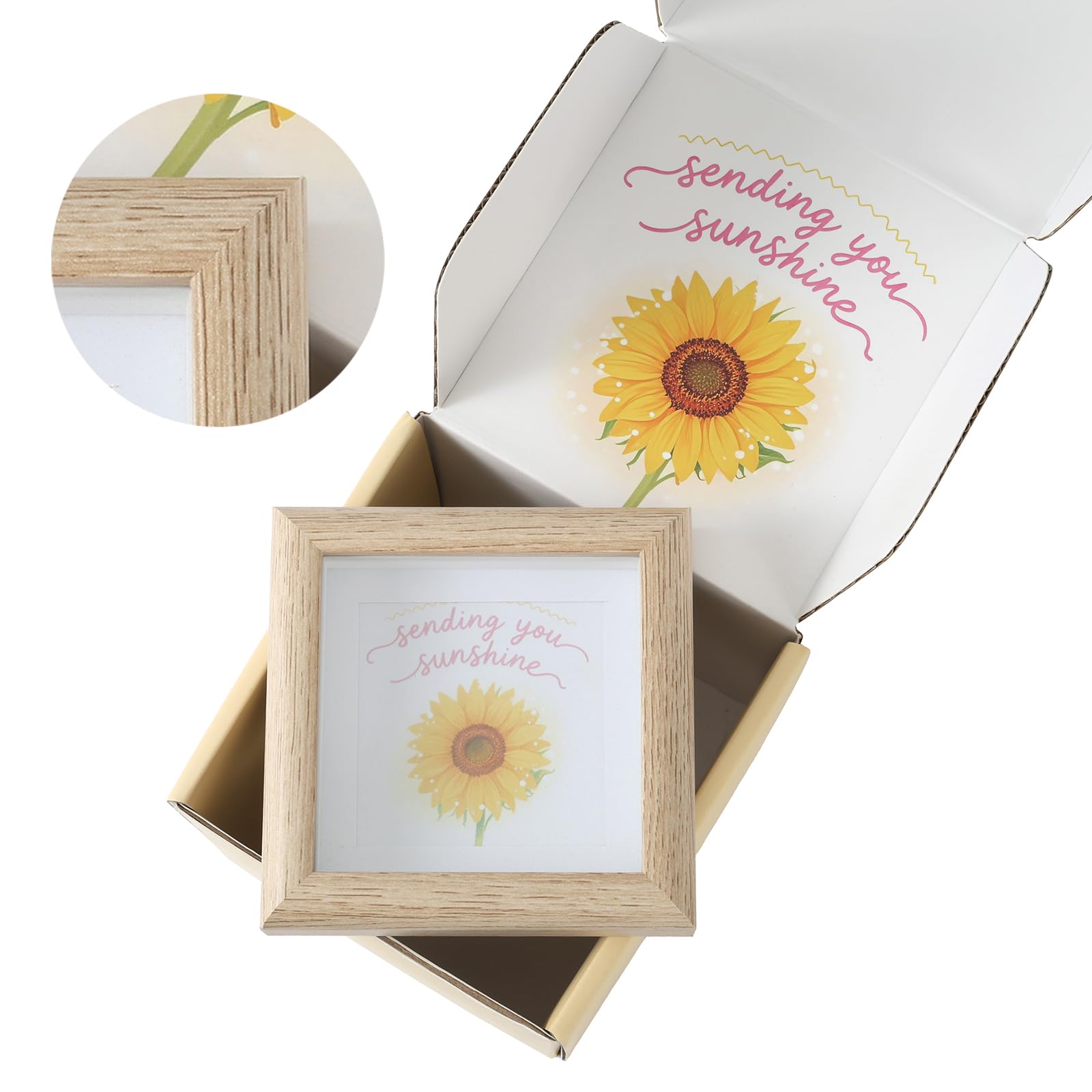 FoldifyZen white oak 10x10 frame for photos