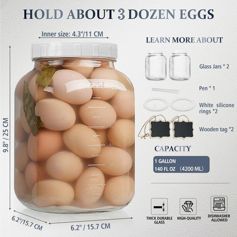 Folinstall large-capacity 4200 ml jar ideal for bulk pantry storage