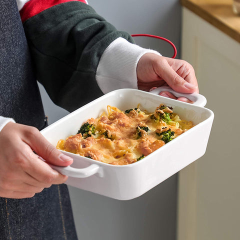 Foraineam porcelain dishes safe for oven, microwave, freezer