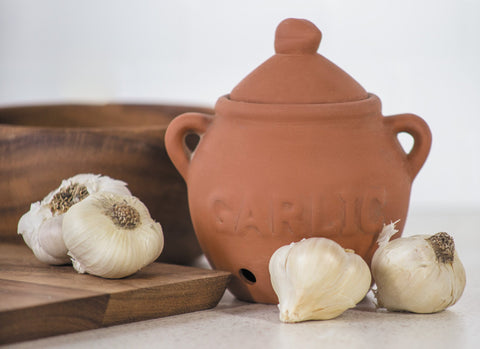 Fox Run garlic keeper Terra Cotta Red lid shields garlic from light.