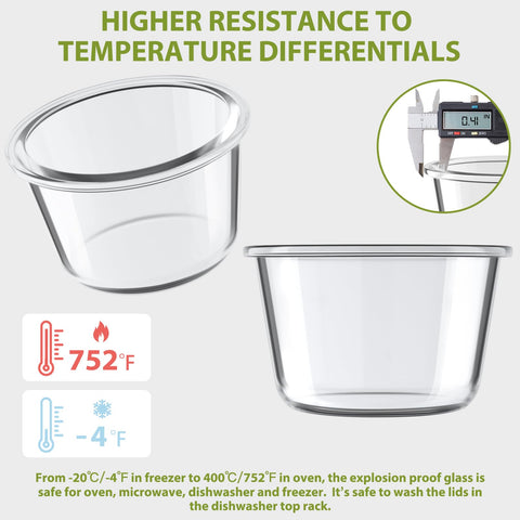 Freshmage fridge-freezer-oven-microwave-safe glass container for versatile meals
