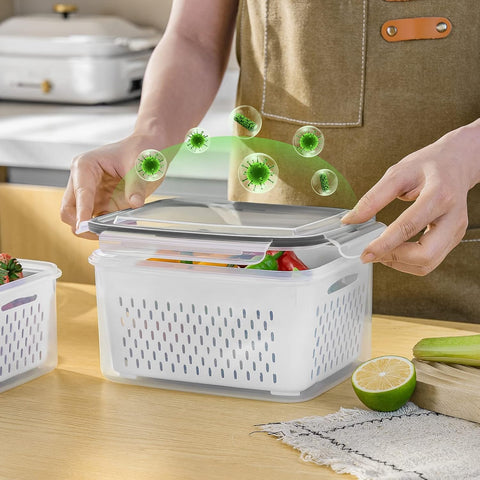 Freshmage 4200ml fruit storage container for large produce and batches.