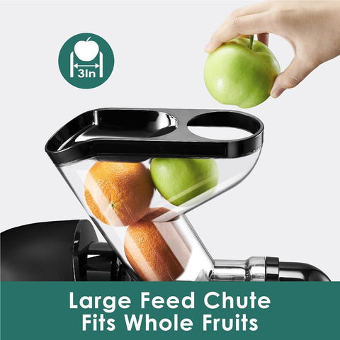 Fretta juicer BPA-free Tritan body ensures safe family juicing