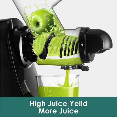 Fretta juicer quiet DC motor enables peaceful morning juicing
