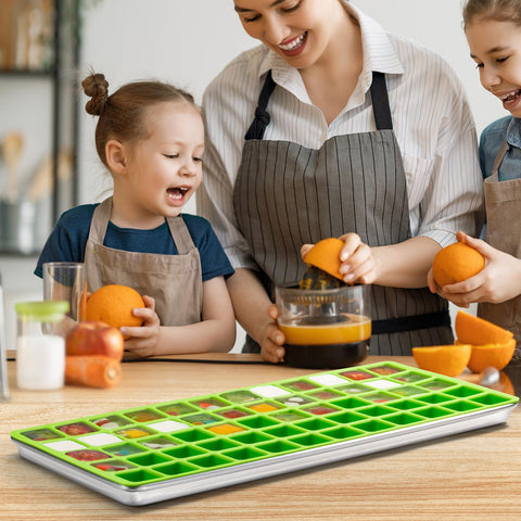 Friheten freeze-dryer accessories molds pack helps organize frozen portions.