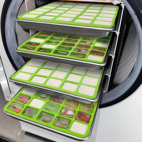 Friheten molds support yogurt, smoothies, puddings, and liquids in freeze-drying.