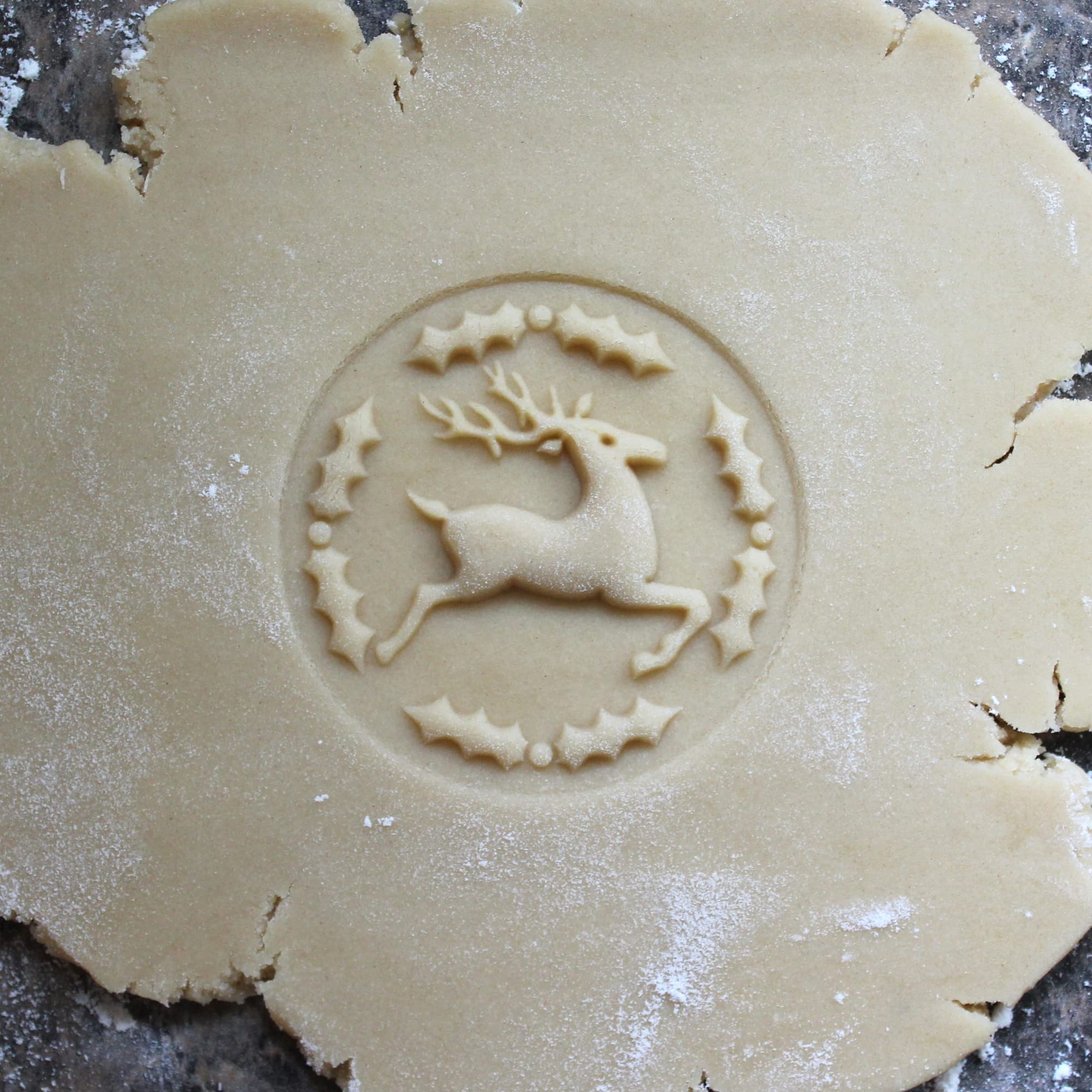 Fun Food Tools cookie stamp in use on gingerbread for a crisp impression.