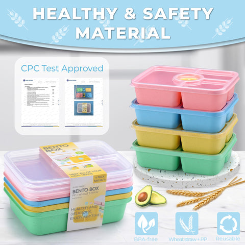 GadgBlizza Bento clear-lid showing contents at a glance