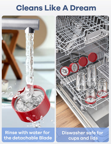 Ganiza 900W blender 17oz middle cup for mixed smoothies at home