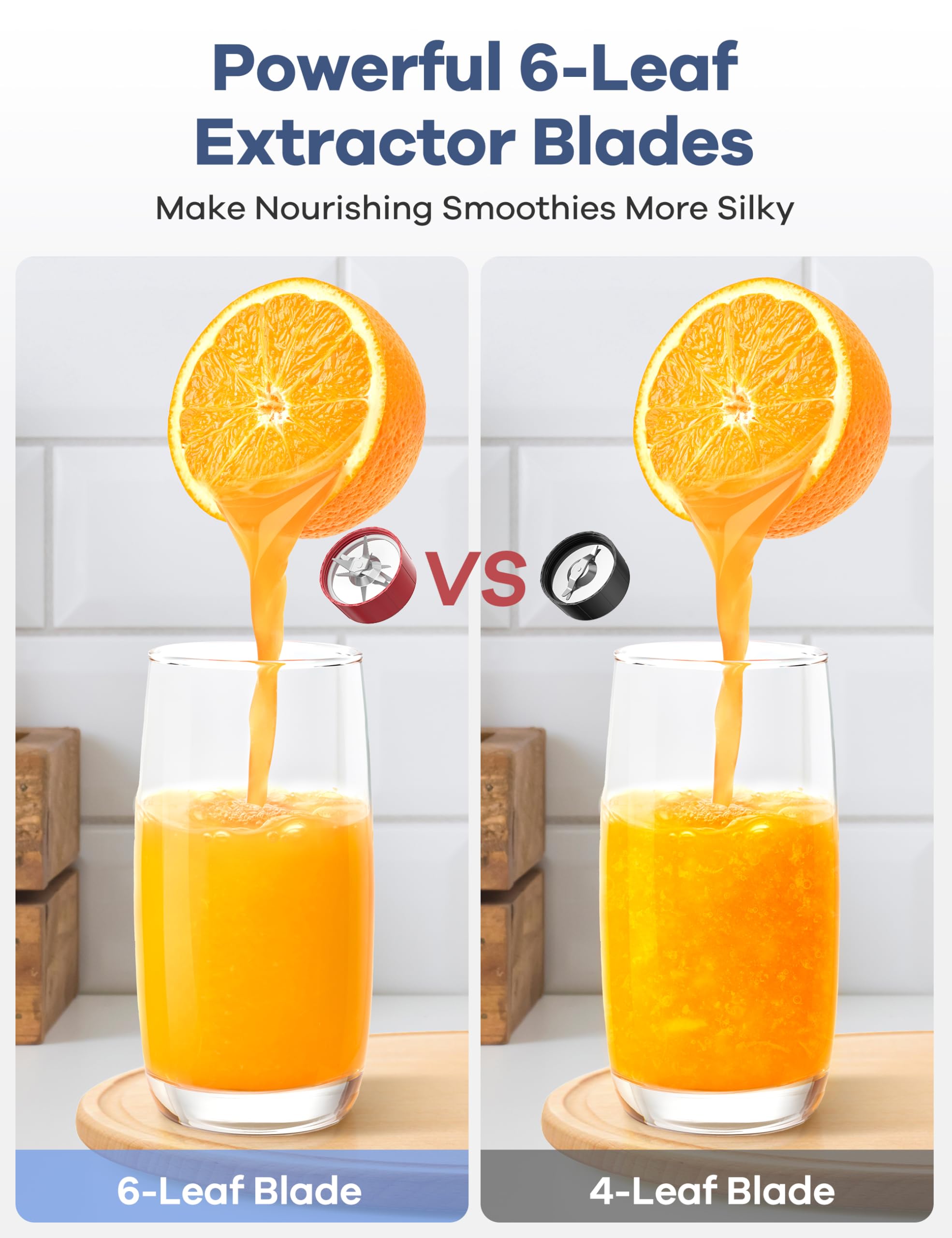 Ganiza 900W blender 2-blade flat for quick chopping and grinding spices