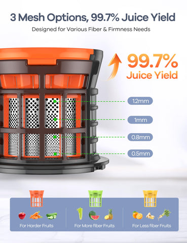 Ganiza Juicer with three detachable filters for fibrous produce efficiency.