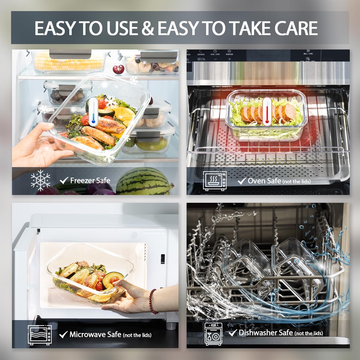 GENICOOK glass bento square 27-oz container for larger portions