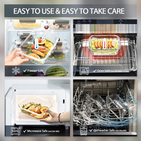 GENICOOK glass bento square 27-oz container for larger portions