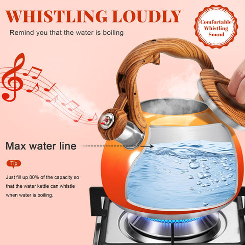 GGC 3.1QT capacity ideal for families and small gatherings