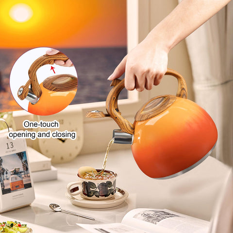 GGC stainless steel kettle compatible with gas, electric, induction stoves