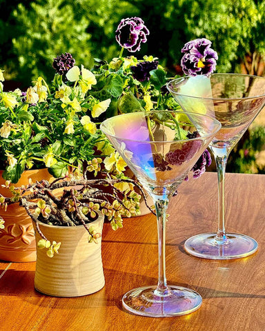 Gnimihz lead-free crystal martini glass for safe serving