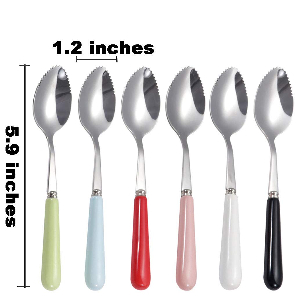 Goeielewe grapefruit spoon size 5.9x1.2 inches ideal for citrus.