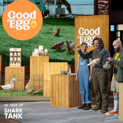 GoodEgg Original Egg Brush featured on Shark Tank for backyard helpers