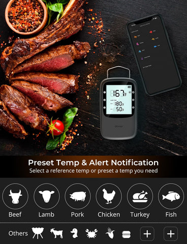 Govee magnet and stand simplify placement during busy cookouts.