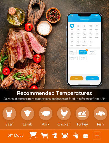 Grill setup with remote monitoring from Govee thermometer and phone