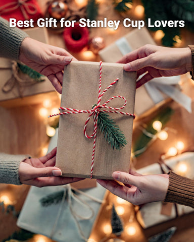 Gracenal twelve-bottle capacity organizer for versatile bottle storage