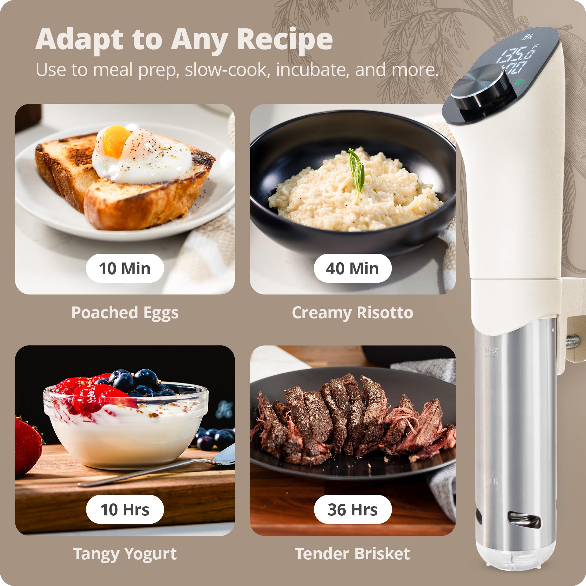 Greater Goods Sous Vide Birch LED display shows timer and temperature