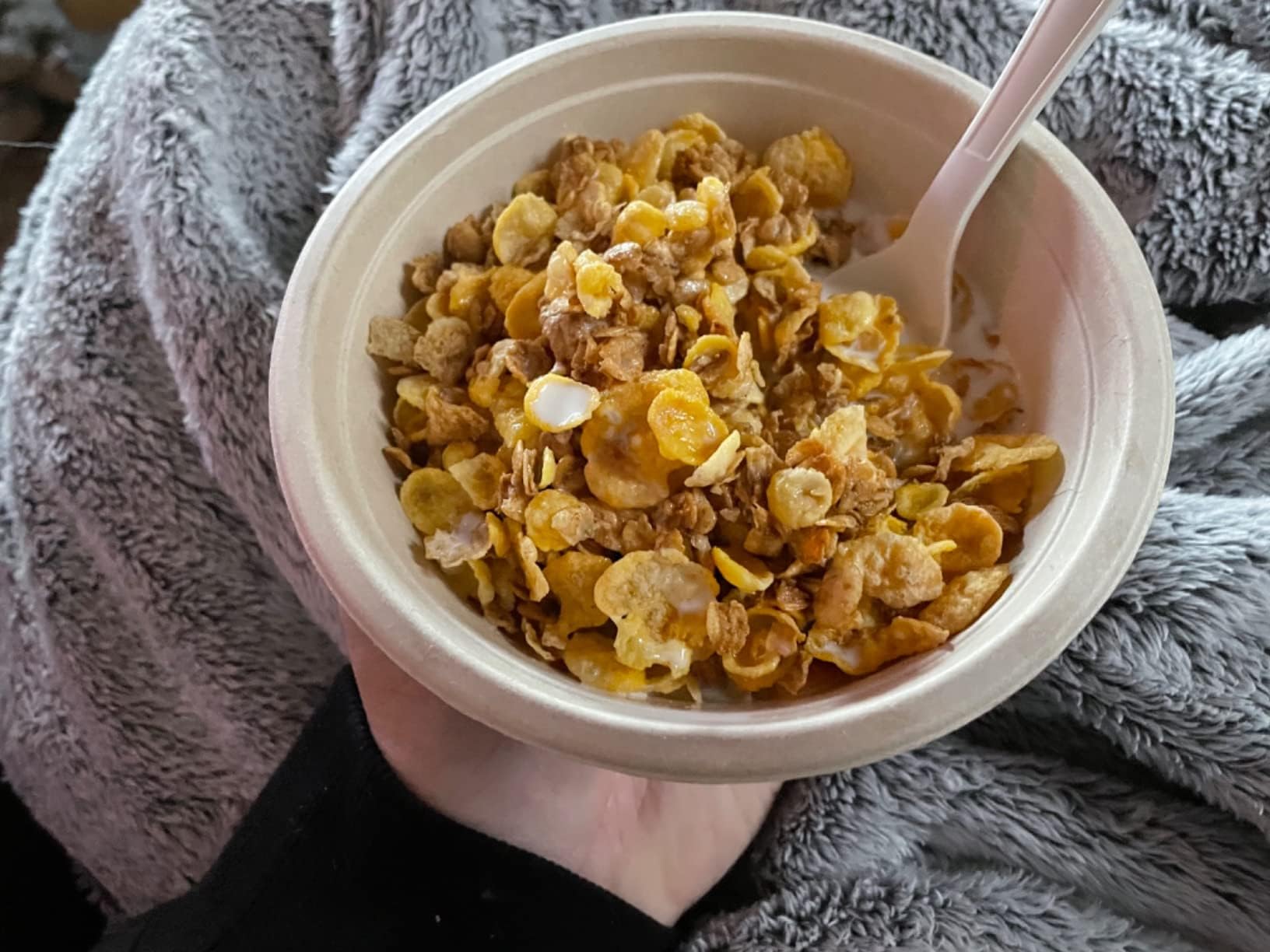 Green Swan compostable bowls icon, 100% biodegradable material.