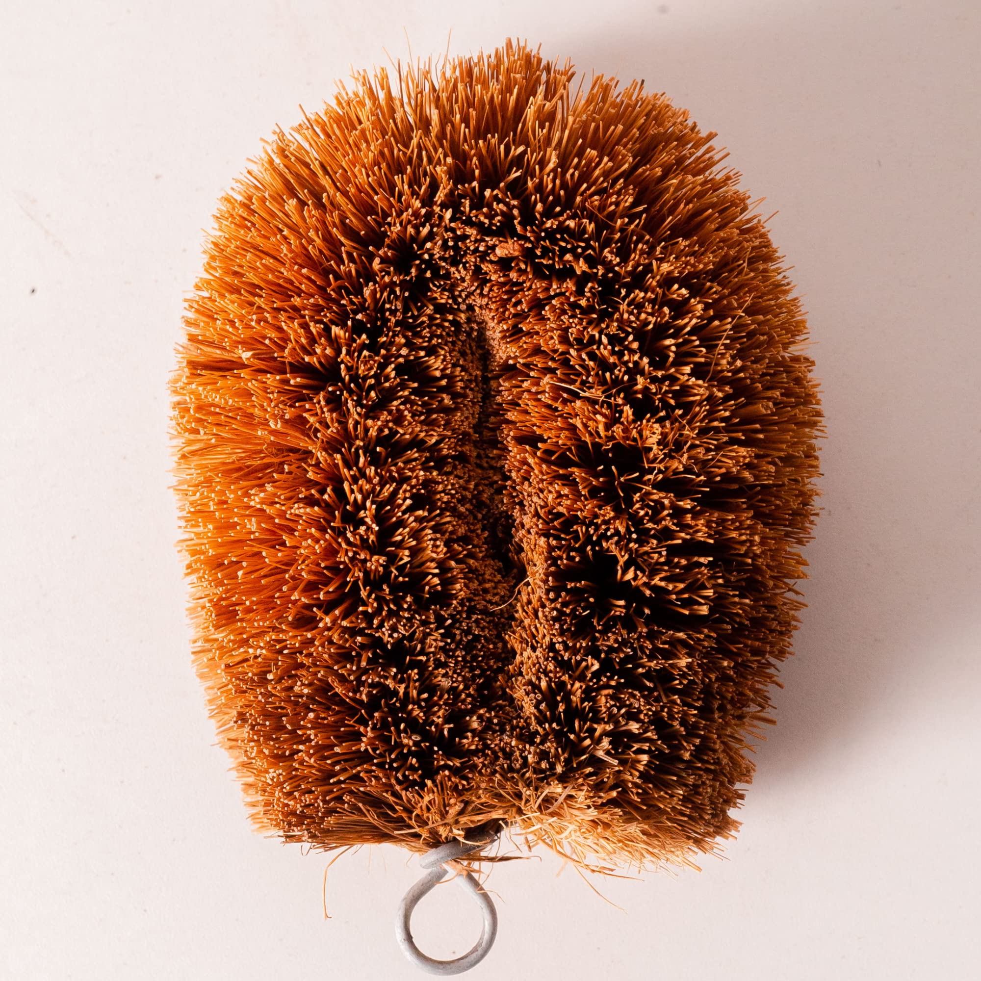 GrowByCoco biodegradable kitchen brush reduces plastic waste.