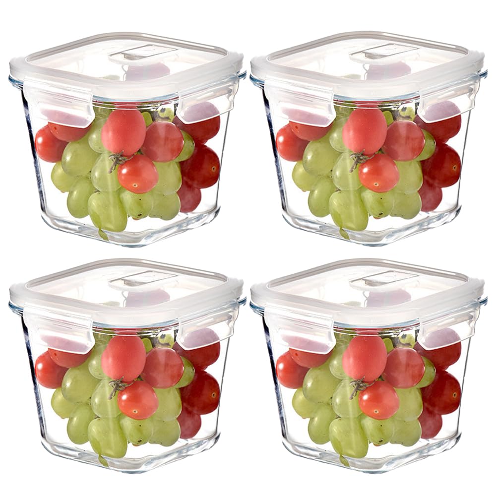 H.JSS WDJS 4cup square glass storage with lids keeping leftovers fresh