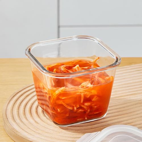 H.JSS WDJS borosilicate glass prep bowls for meal prep and freezing