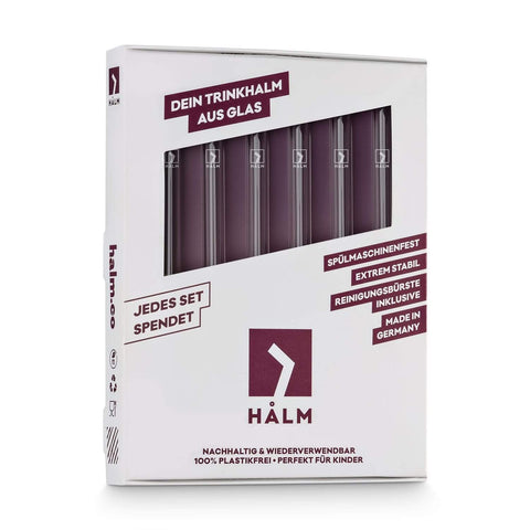 HALM plastic-free cleaning brush with straw for easy home cleaning.