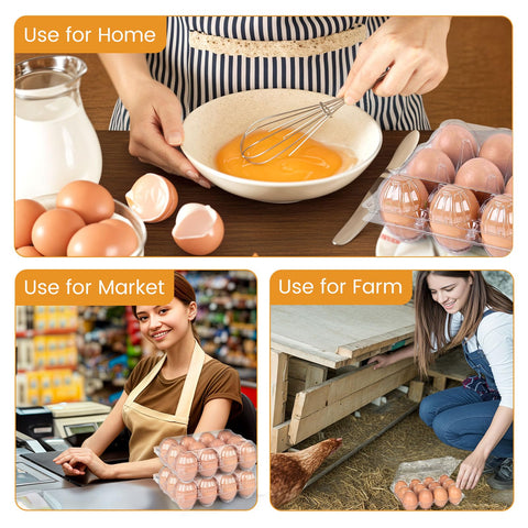 HANSGO 60-pack carton set for farm sales and storage
