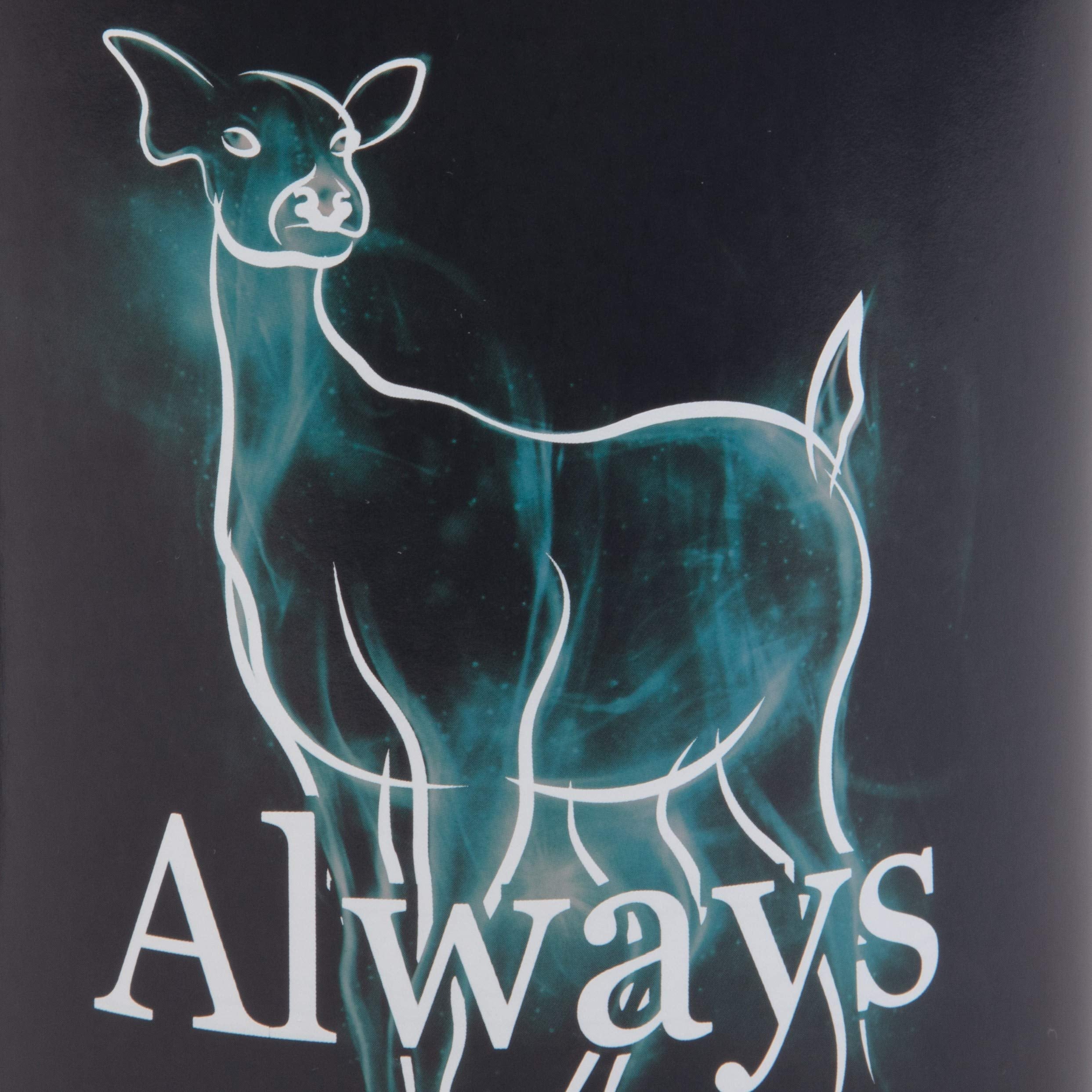Harry Potter heat reveal mug enhances tea moments with magical glow.