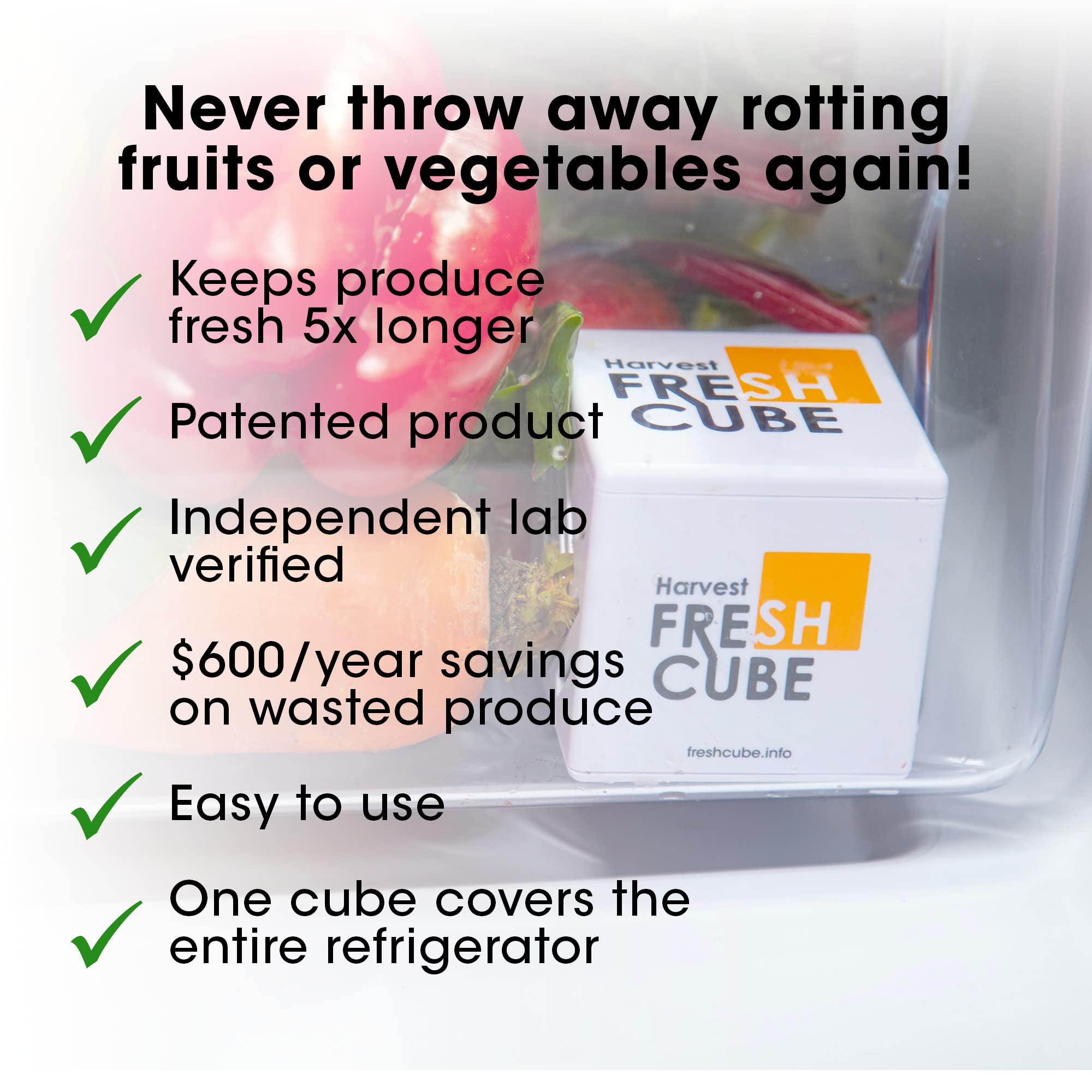Fridge shelf with assorted produce and Harvest Fresh Cube for longer freshness.