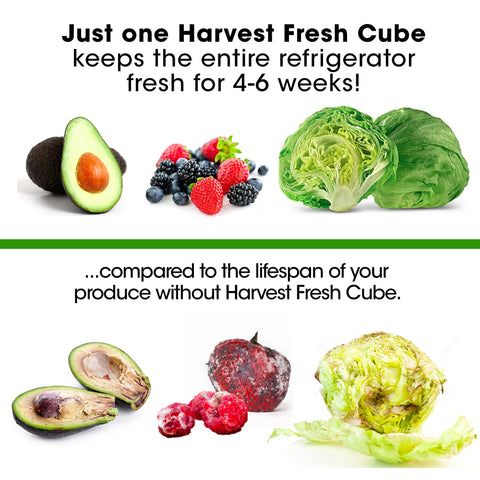 Six-month supply visual highlighting the value of two cubes.
