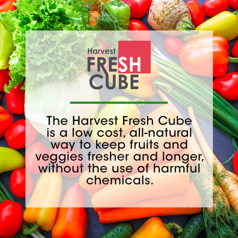 Two-pack Harvest Fresh Cube packaging sits on the counter, ready to use.