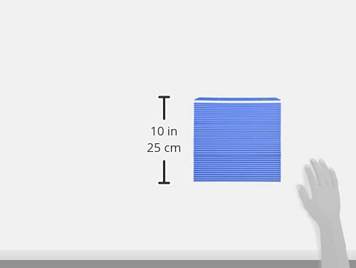 Hasegawa plastic mat, easy-clean design suitable for everyday use.