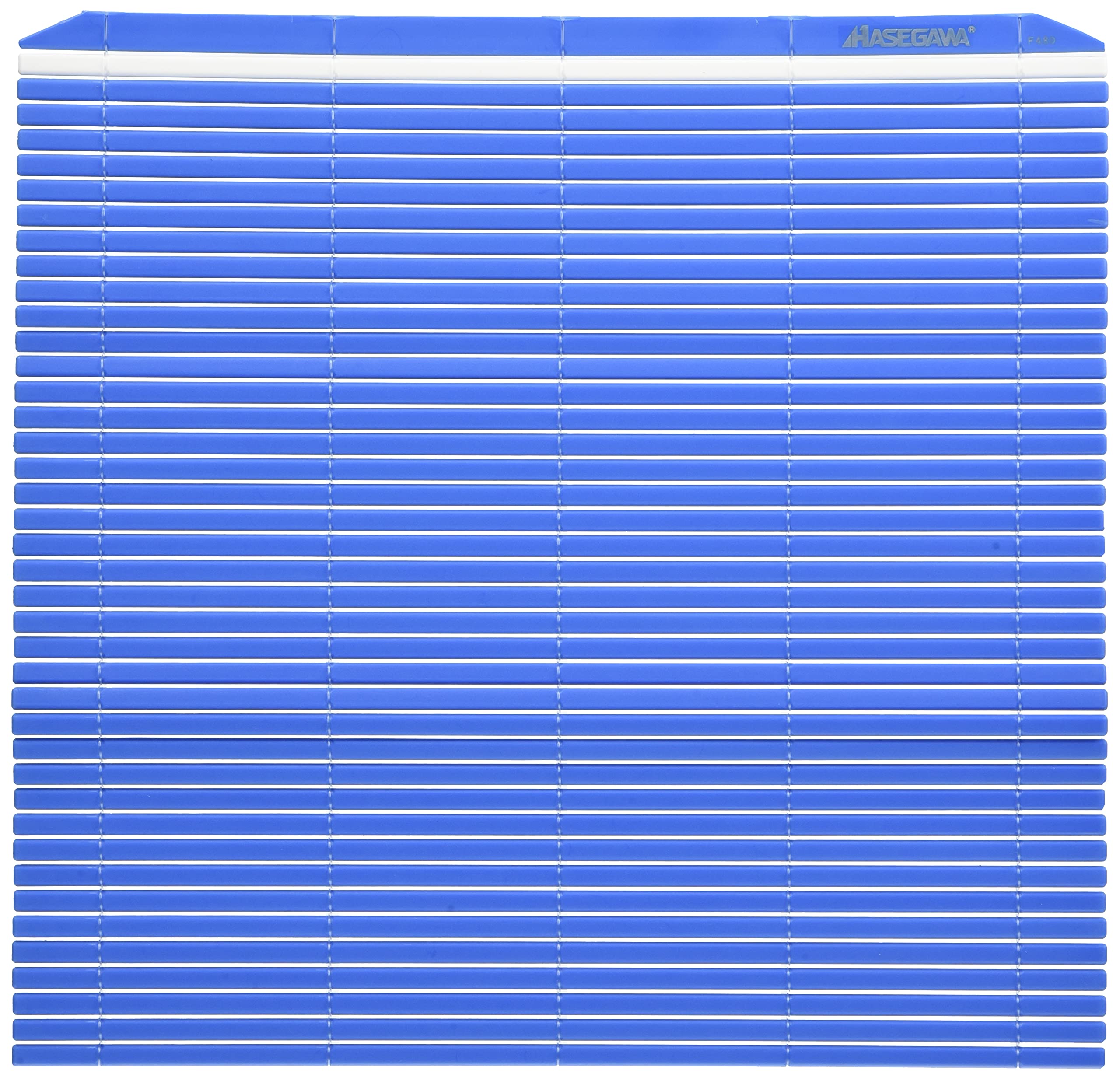 Hasegawa blue plastic sushi rolling mat; 10 x 9.5 inches for precise rolls.