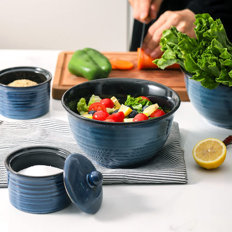 Hasense navy blue pinstripe bowls with rim design for pasta or salads.