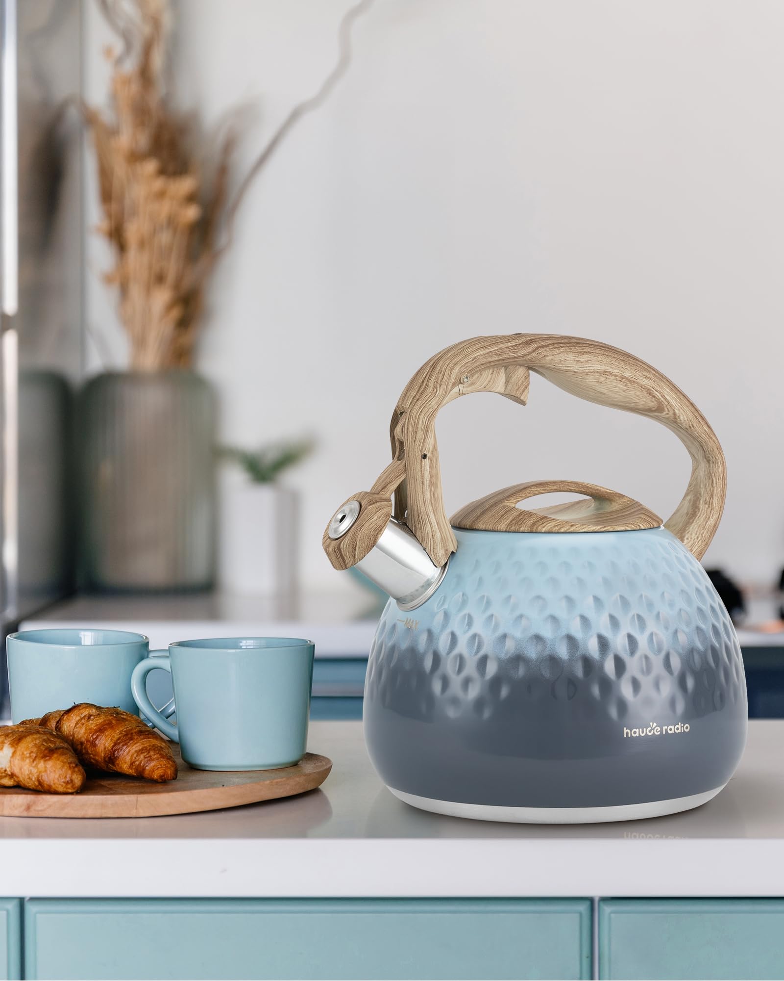 Hauce Radio kettle easy to clean; lemon removes mineral buildup.