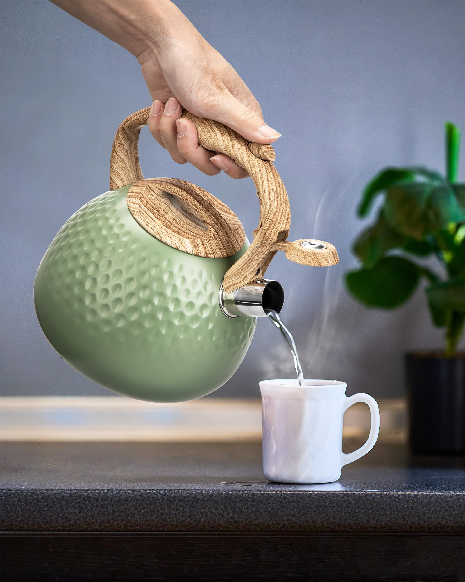 Hauce Radio 2.5-quart kettle with easy pour spout, spill-free