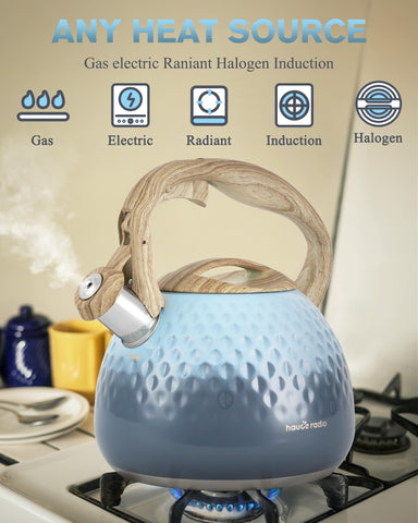 Hauce Radio kettle with ergonomic anti-hot handle for safe pouring.
