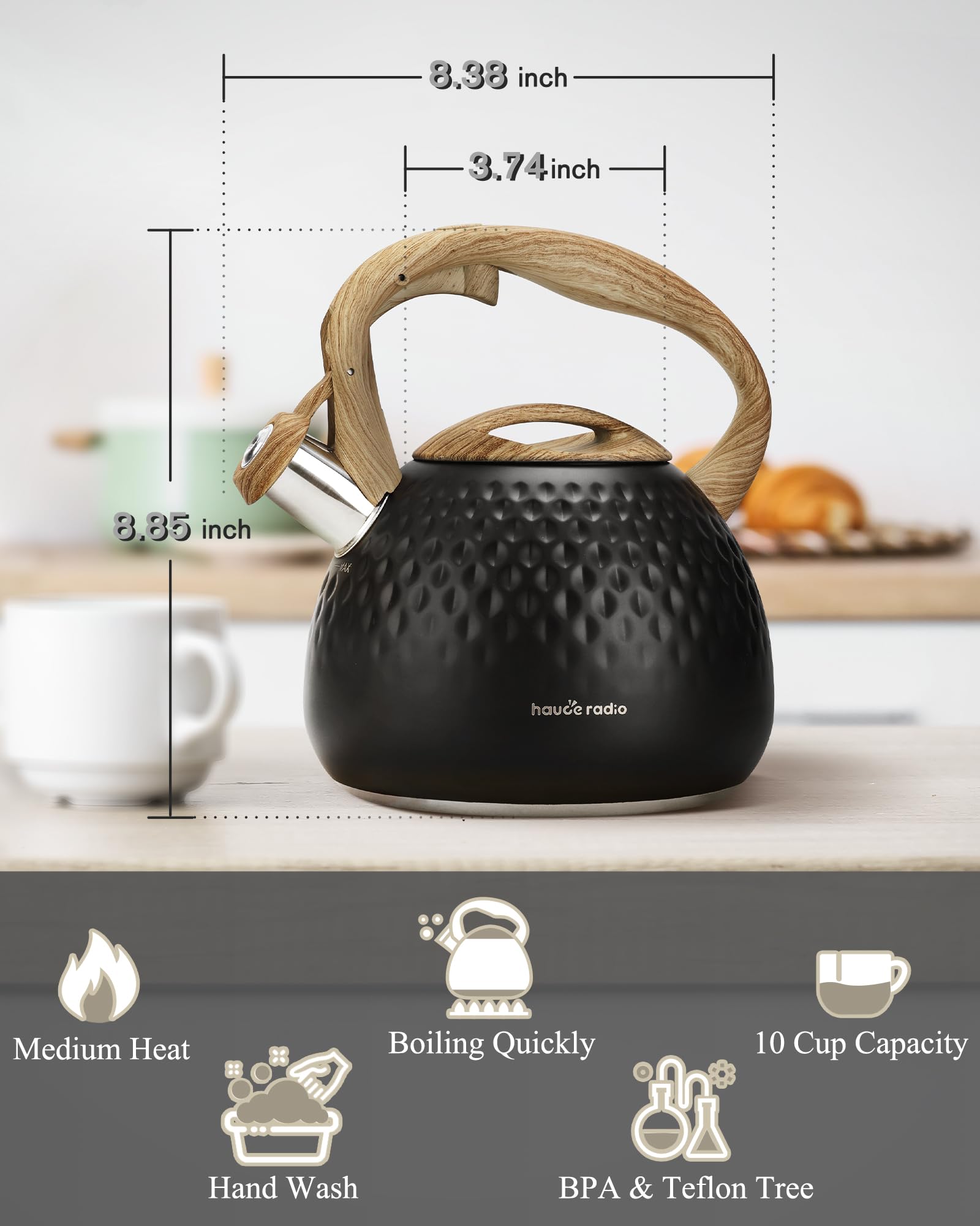 Hauce Radio tea kettle stainless finish for daily brewing