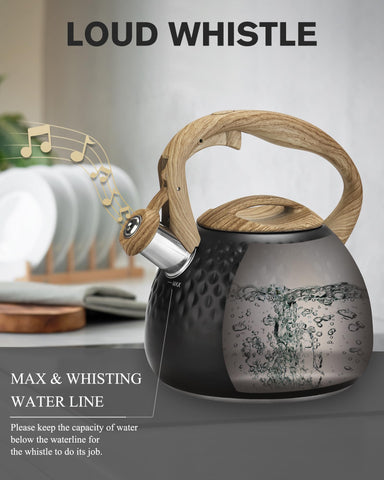 Hauce Radio tea kettle whistle close-up signals boiling precisely