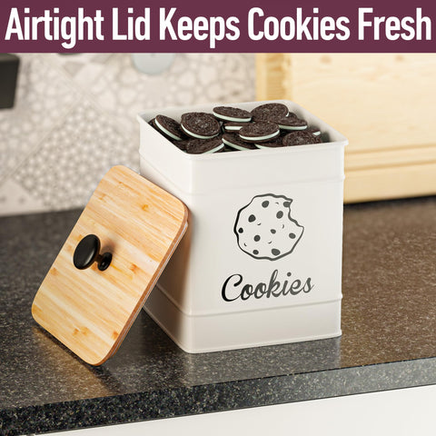 HB Design Co. cookie jar on counter display keeps treats accessible and attractive.