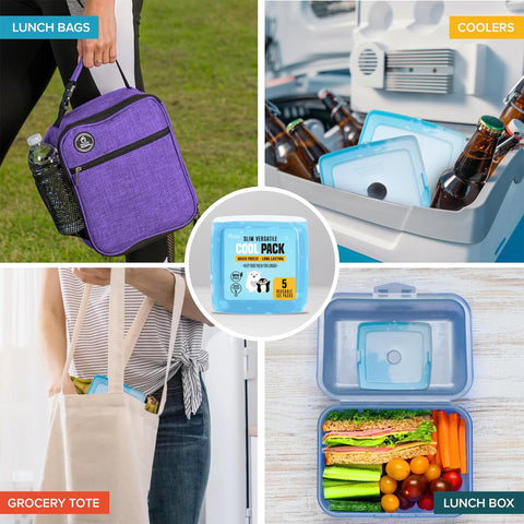 Healthy Packers 5-pack freezer packs deliver long-lasting chill.