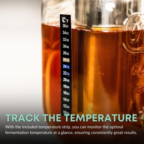 Hemlock Home Brewing SCOBY jar option provides versatile fermentation and storage.