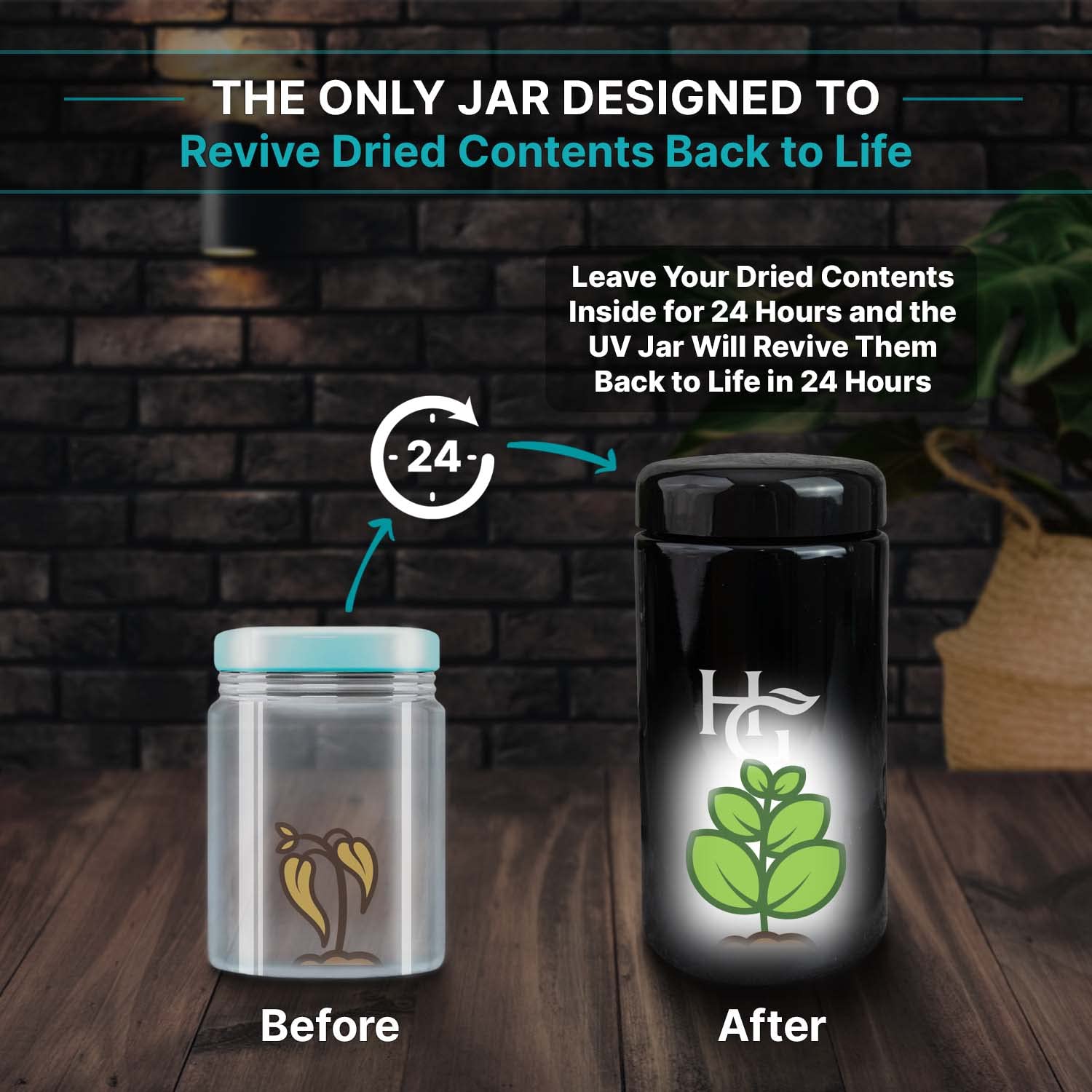 Herb Guard stylish jar design for home display and travel.