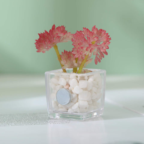 HEY FOLY cactus magnet brightens lockers and helps quick identification.